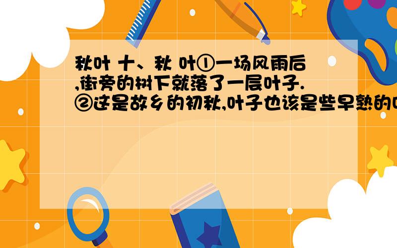 秋叶 十、秋 叶①一场风雨后,街旁的树下就落了一层叶子.②这是故乡的初秋,叶子也该是些早熟的叶子,从湛蓝旷远的天空悠然飘