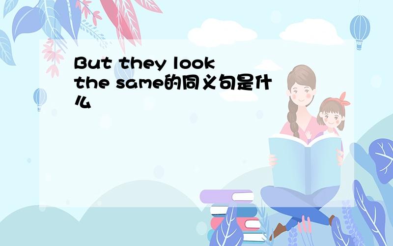 But they look the same的同义句是什么