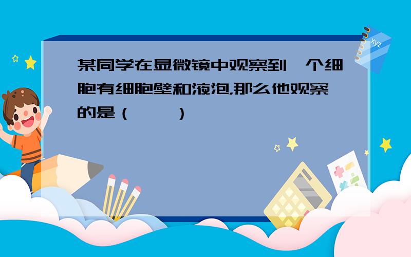 某同学在显微镜中观察到一个细胞有细胞壁和液泡，那么他观察的是（　　）