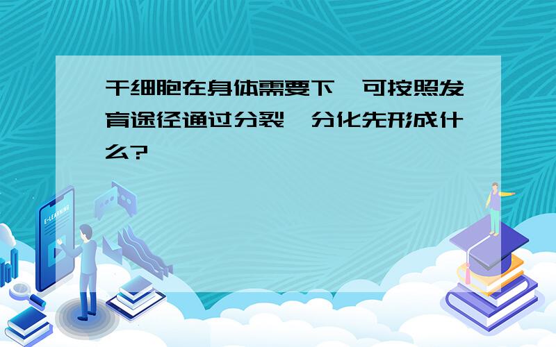 干细胞在身体需要下,可按照发育途径通过分裂、分化先形成什么?