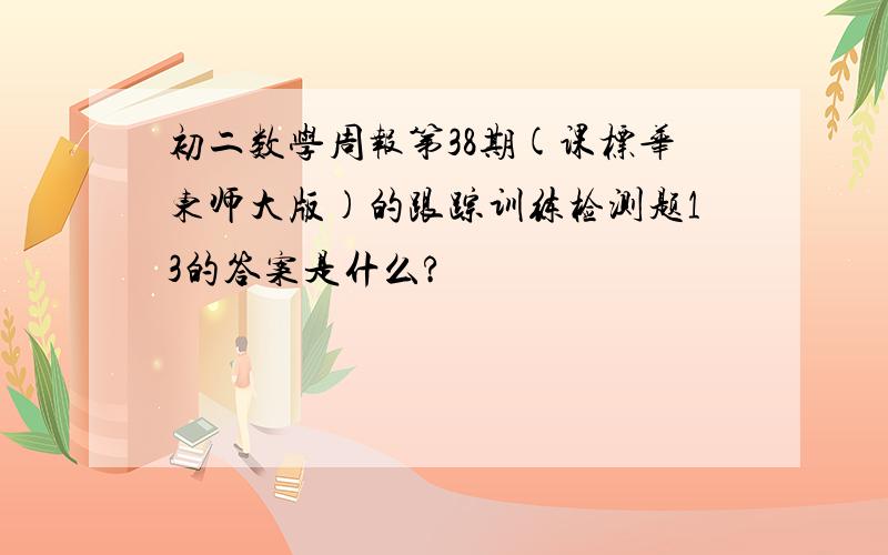 初二数学周报第38期(课标华东师大版)的跟踪训练检测题13的答案是什么?