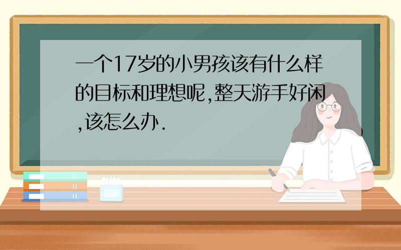 一个17岁的小男孩该有什么样的目标和理想呢,整天游手好闲,该怎么办.