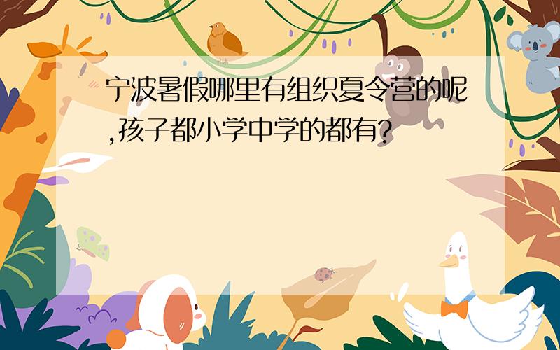 宁波暑假哪里有组织夏令营的呢,孩子都小学中学的都有?