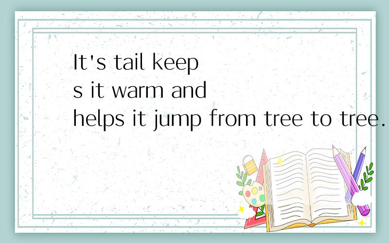 It's tail keeps it warm and helps it jump from tree to tree.