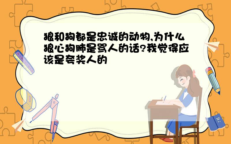 狼和狗都是忠诚的动物,为什么狼心狗肺是骂人的话?我觉得应该是夸奖人的