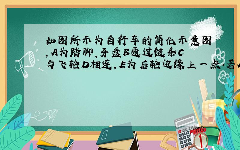 如图所示为自行车的简化示意图,A为踏脚、牙盘B通过链条C与飞轮D相连,E为后轮边缘上一点.若AO=24cm,rB=10c