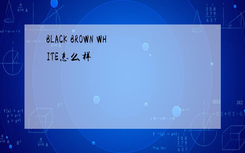 BLACK BROWN WHITE怎么样