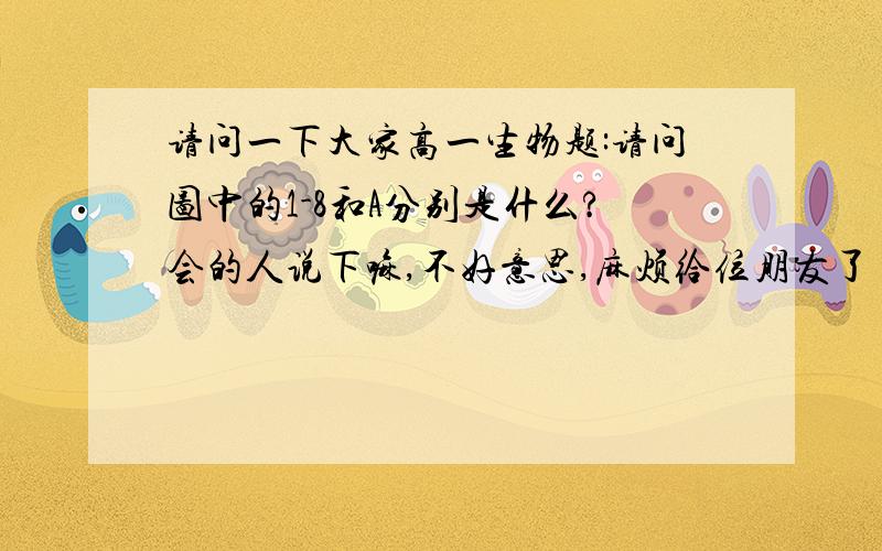 请问一下大家高一生物题:请问图中的1-8和A分别是什么?会的人说下嘛,不好意思,麻烦给位朋友了{随机数i