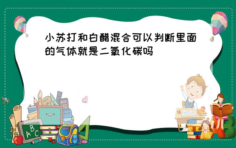 小苏打和白醋混合可以判断里面的气体就是二氧化碳吗