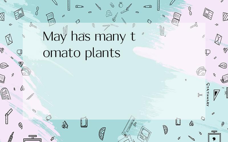 May has many tomato plants