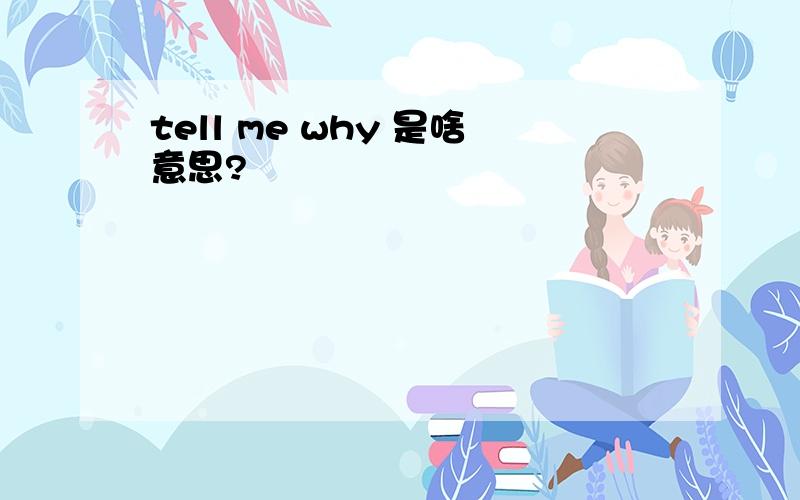 tell me why 是啥意思?