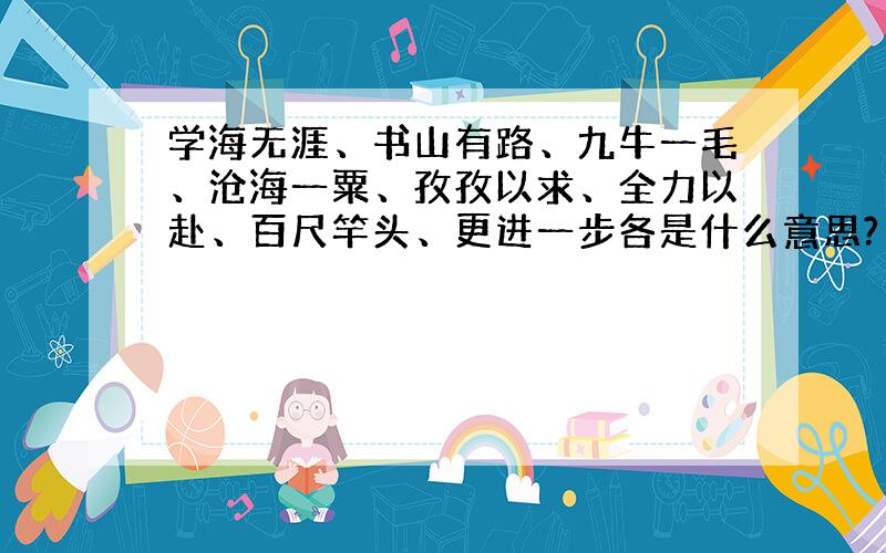 学海无涯、书山有路、九牛一毛、沧海一粟、孜孜以求、全力以赴、百尺竿头、更进一步各是什么意思?