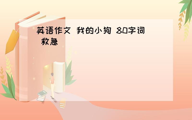 英语作文 我的小狗 80字词 救急