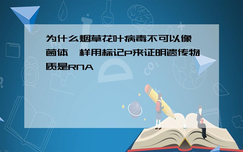 为什么烟草花叶病毒不可以像噬菌体一样用标记P来证明遗传物质是RNA