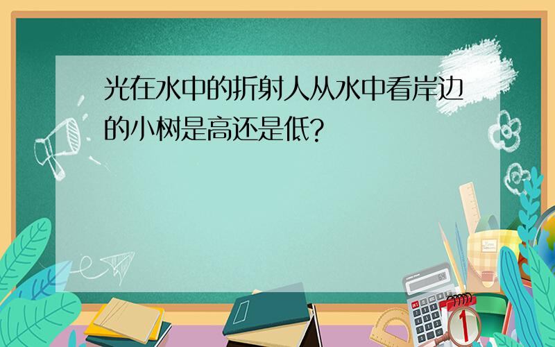 光在水中的折射人从水中看岸边的小树是高还是低?