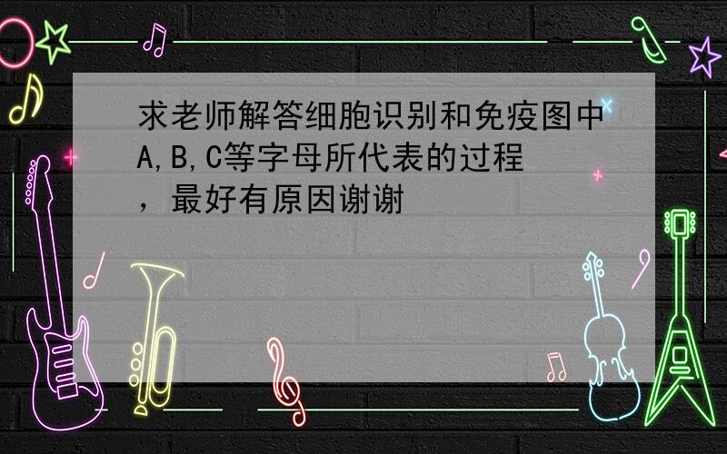 求老师解答细胞识别和免疫图中A,B,C等字母所代表的过程，最好有原因谢谢