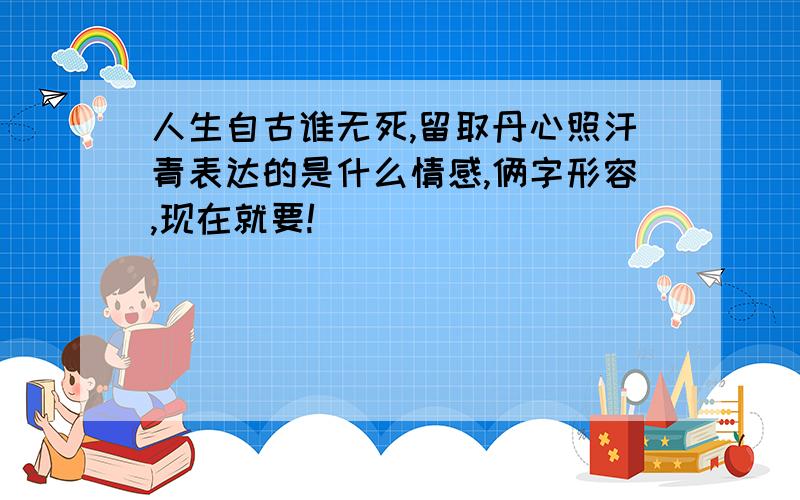 人生自古谁无死,留取丹心照汗青表达的是什么情感,俩字形容,现在就要!