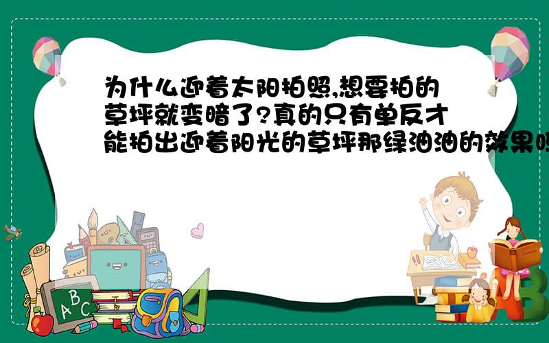 为什么迎着太阳拍照,想要拍的草坪就变暗了?真的只有单反才能拍出迎着阳光的草坪那绿油油的效果吗?