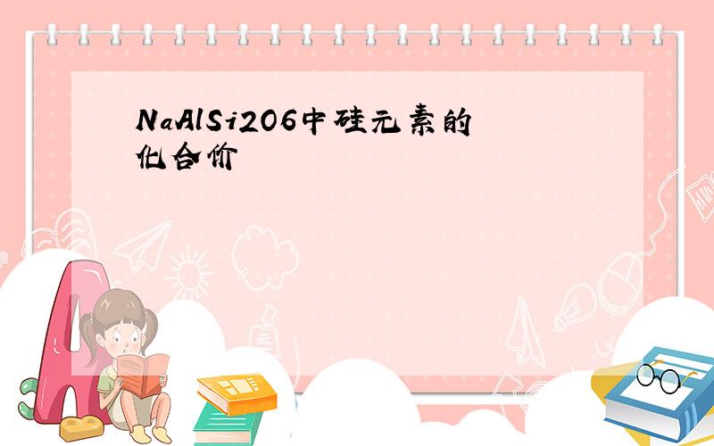 NaAlSi2O6中硅元素的化合价