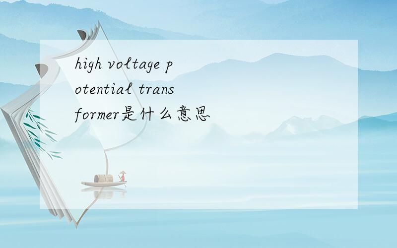 high voltage potential transformer是什么意思