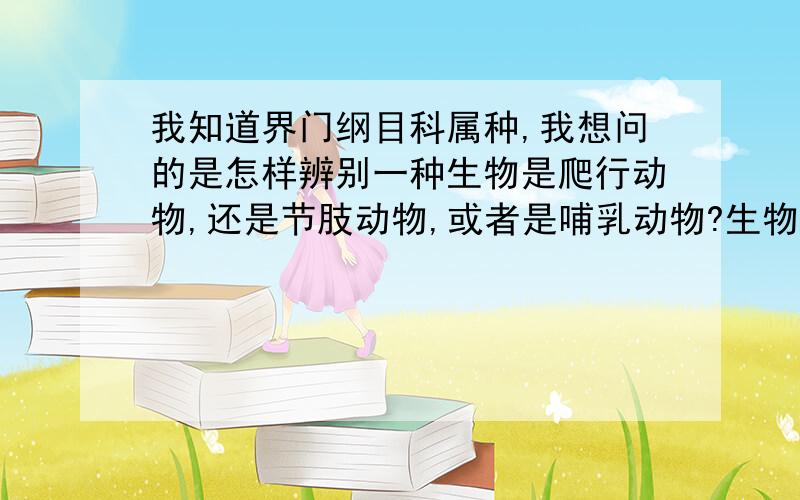 我知道界门纲目科属种,我想问的是怎样辨别一种生物是爬行动物,还是节肢动物,或者是哺乳动物?生物专家请进,