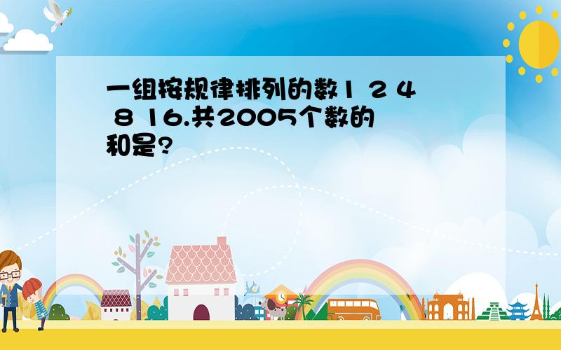 一组按规律排列的数1 2 4 8 16.共2005个数的和是?