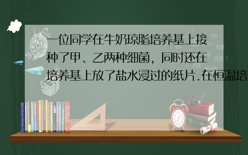 一位同学在牛奶琼脂培养基上接种了甲、乙两种细菌，同时还在培养基上放了盐水浸过的纸片.在恒温培养箱中培养几天后，盐水浸过的