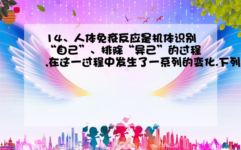 14、人体免疫反应是机体识别“自己”、排除“异己”的过程,在这一过程中发生了一系列的变化.下列有关曲线中,不能正确反映这