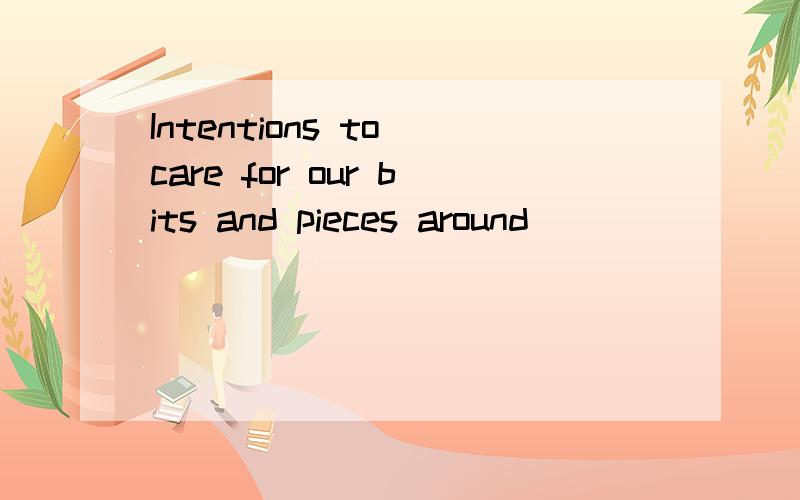 Intentions to care for our bits and pieces around