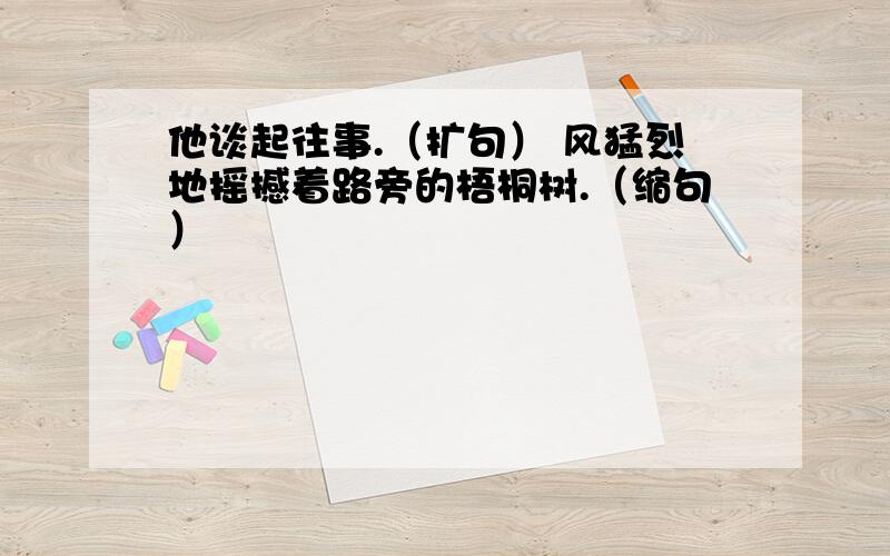 他谈起往事.（扩句） 风猛烈地摇撼着路旁的梧桐树.（缩句）