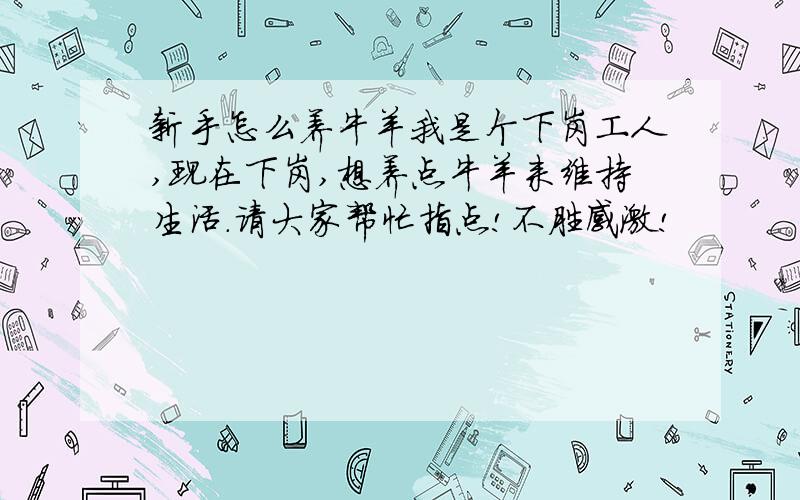 新手怎么养牛羊我是个下岗工人,现在下岗,想养点牛羊来维持生活.请大家帮忙指点!不胜感激!