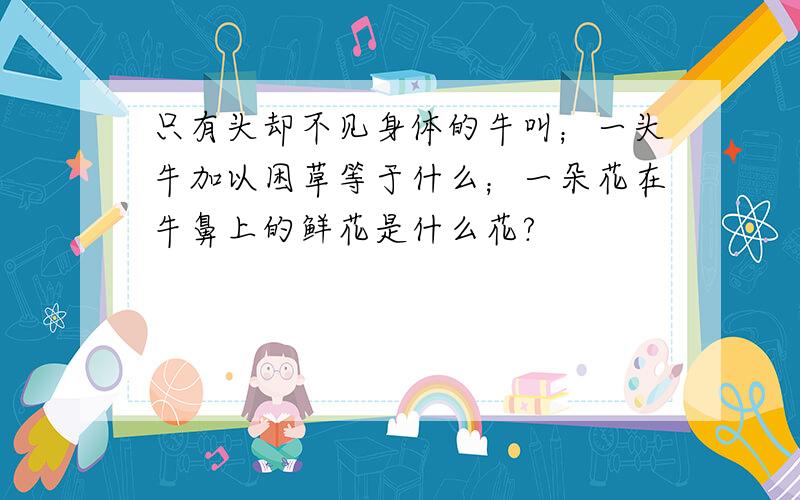 只有头却不见身体的牛叫；一头牛加以困草等于什么；一朵花在牛鼻上的鲜花是什么花?