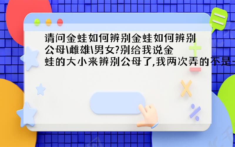 请问金蛙如何辨别金蛙如何辨别公母\雌雄\男女?别给我说金蛙的大小来辨别公母了,我两次弄的不是一起的.我就注意了一只大一只