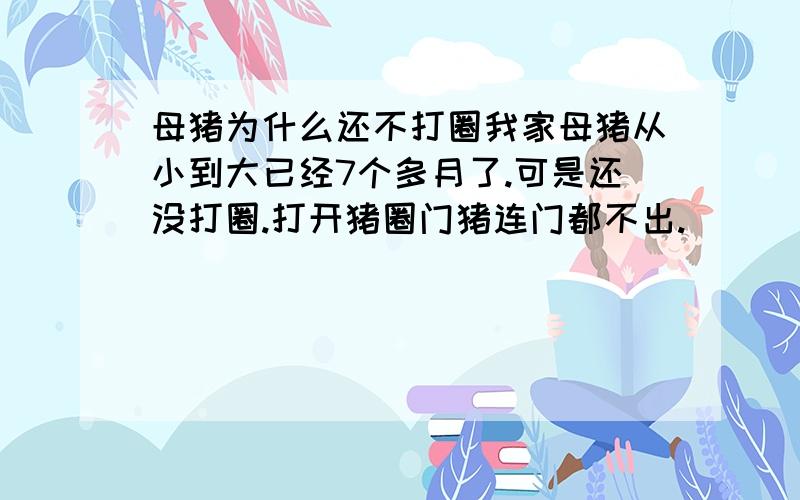 母猪为什么还不打圈我家母猪从小到大已经7个多月了.可是还没打圈.打开猪圈门猪连门都不出.