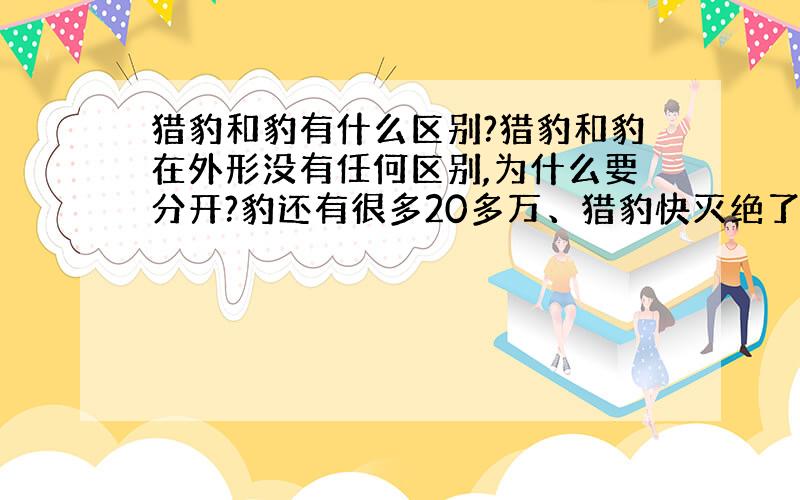 猎豹和豹有什么区别?猎豹和豹在外形没有任何区别,为什么要分开?豹还有很多20多万、猎豹快灭绝了.他们之间有什么区别?