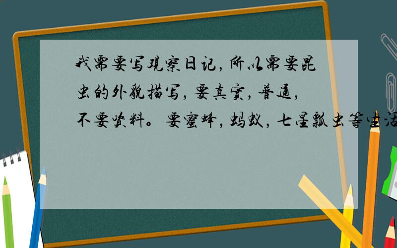 我需要写观察日记，所以需要昆虫的外貌描写，要真实，普通，不要资料。要蜜蜂，蚂蚁，七星瓢虫等生活常见的，一种就行。（不要毛