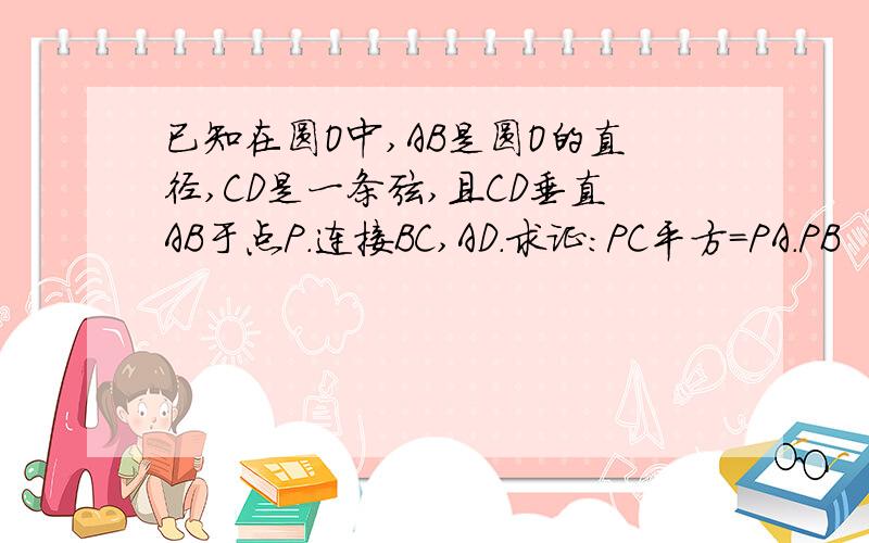 已知在圆O中,AB是圆O的直径,CD是一条弦,且CD垂直AB于点P.连接BC,AD.求证:PC平方=PA.PB