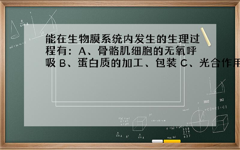 能在生物膜系统内发生的生理过程有：A、骨骼肌细胞的无氧呼吸 B、蛋白质的加工、包装 C、光合作用