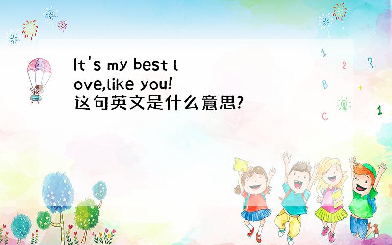 It's my best love,like you! 这句英文是什么意思?