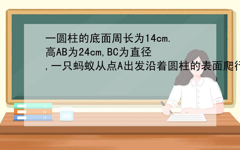 一圆柱的底面周长为14cm.高AB为24cm,BC为直径,一只蚂蚁从点A出发沿着圆柱的表面爬行到点C的最短路径是