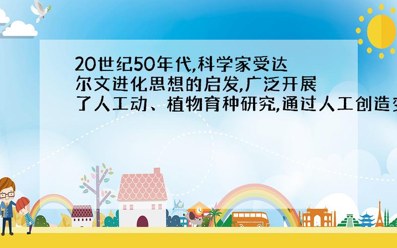 20世纪50年代,科学家受达尔文进化思想的启发,广泛开展了人工动、植物育种研究,通过人工创造变异选育优良的新品种.这一过