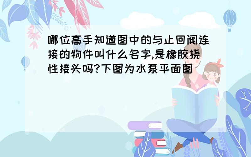 哪位高手知道图中的与止回阀连接的物件叫什么名字,是橡胶挠性接头吗?下图为水泵平面图