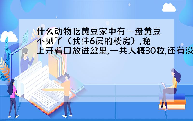 什么动物吃黄豆家中有一盘黄豆不见了（我住6层的楼房）,晚上开着口放进盆里,一共大概30粒,还有没过豆子一厘米的水,第二天