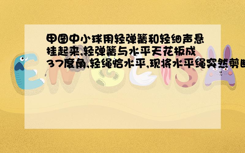 甲图中小球用轻弹簧和轻细声悬挂起来,轻弹簧与水平天花板成37度角,轻绳恰水平,现将水平绳突然剪断,求此瞬间小球加速度