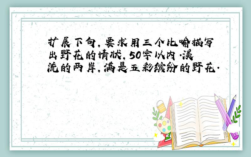 扩展下句,要求用三个比喻描写出野花的情状,50字以内.溪流的两岸,满是五彩缤纷的野花.