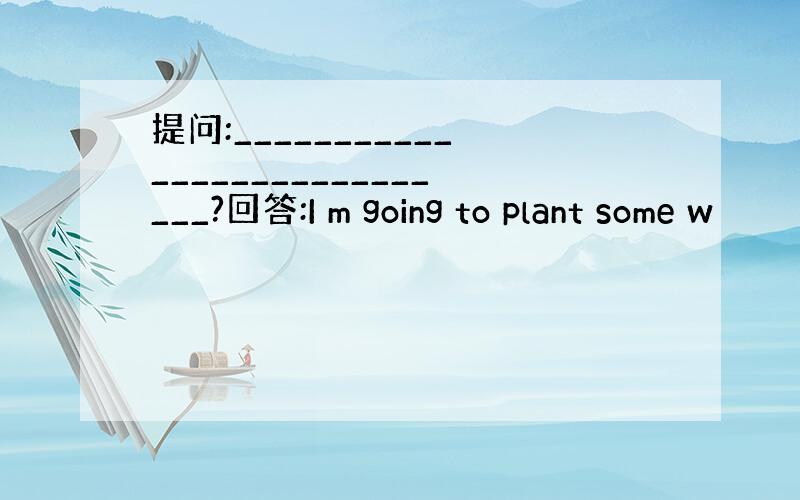 提问:____________________________?回答:I m going to plant some w