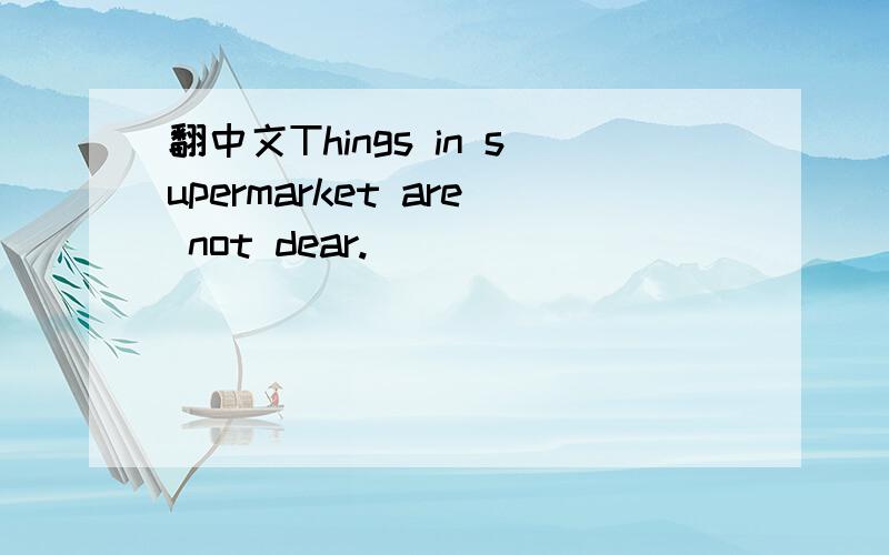 翻中文Things in supermarket are not dear.