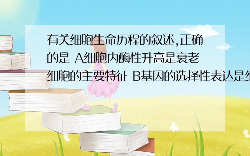 有关细胞生命历程的叙述,正确的是 A细胞内酶性升高是衰老细胞的主要特征 B基因的选择性表达是细...