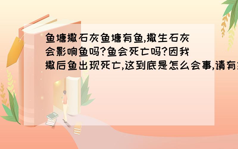 鱼塘撒石灰鱼塘有鱼,撒生石灰会影响鱼吗?鱼会死亡吗?因我撒后鱼出现死亡,这到底是怎么会事,请有经验者指点一二,