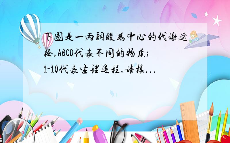 下图是一丙酮酸为中心的代谢途径,ABCD代表不同的物质；1-10代表生理过程,请根...